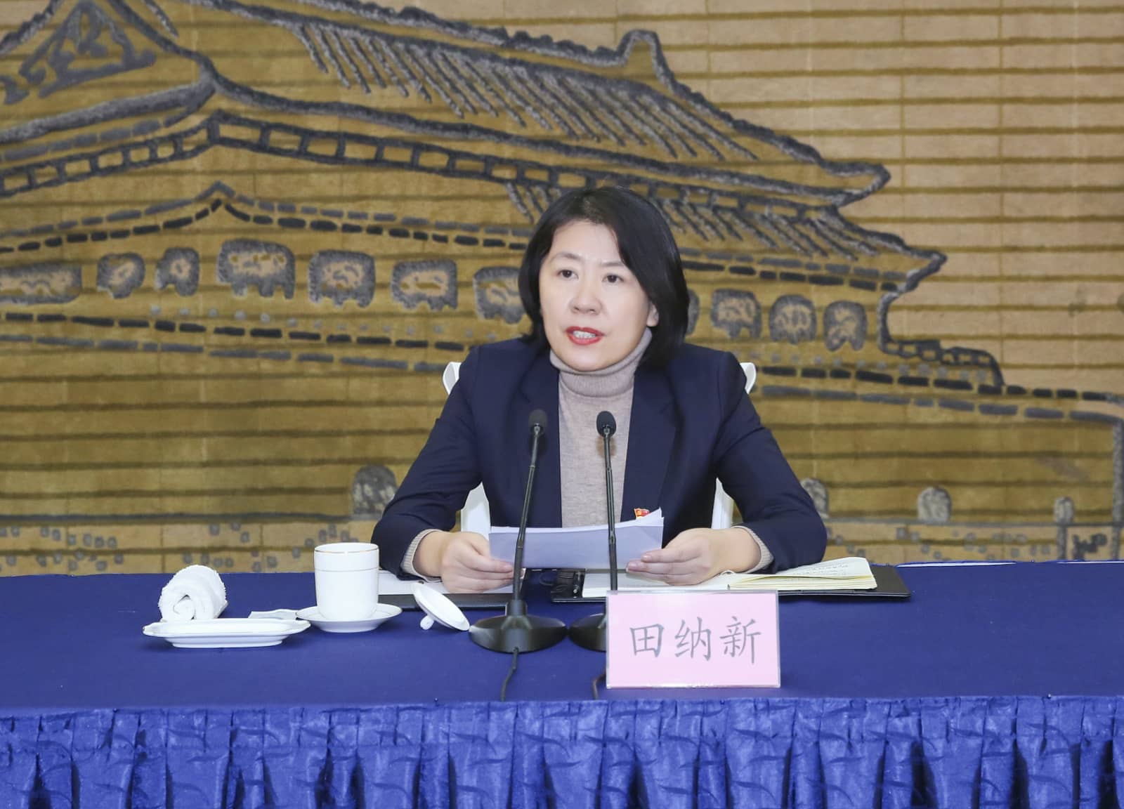 0f784adc50a3db3f6cb2c90241d76b72.jpg 1124278283-tuya.jpg